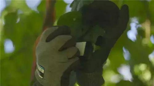 唯獨這些抓人眼球的戶外廣告才配叫創(chuàng)意！標識主也滿意10