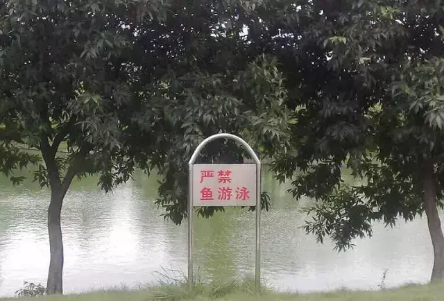 這一些沙雕標(biāo)牌廣告標(biāo)語，讓我站路邊笑了半天停不下來23