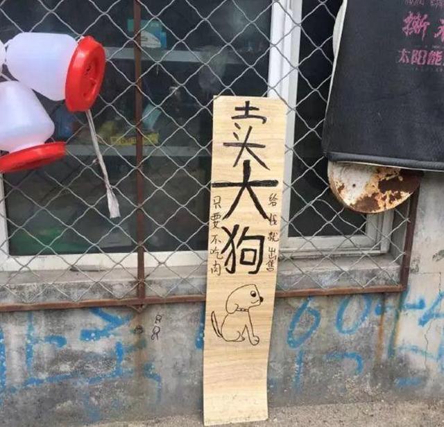 中國街道t型廣告牌有多野？看看這些讓人笑掉大牙的牌子名20