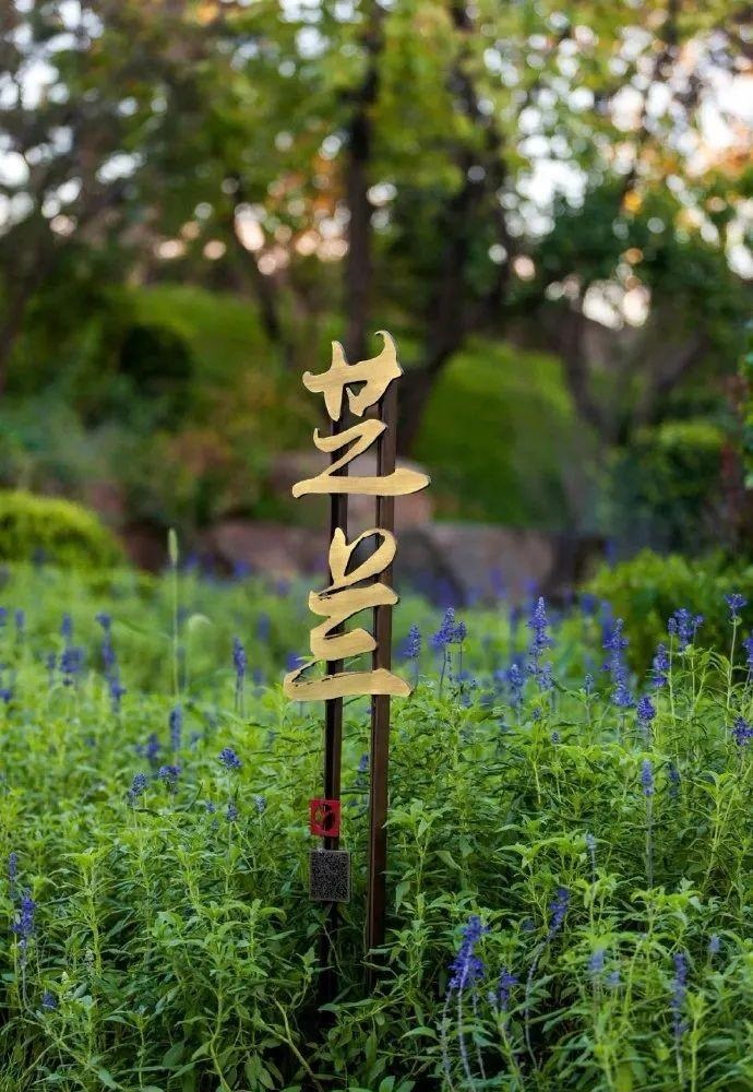 中國風(fēng)LOGO標牌案例分享，美15
